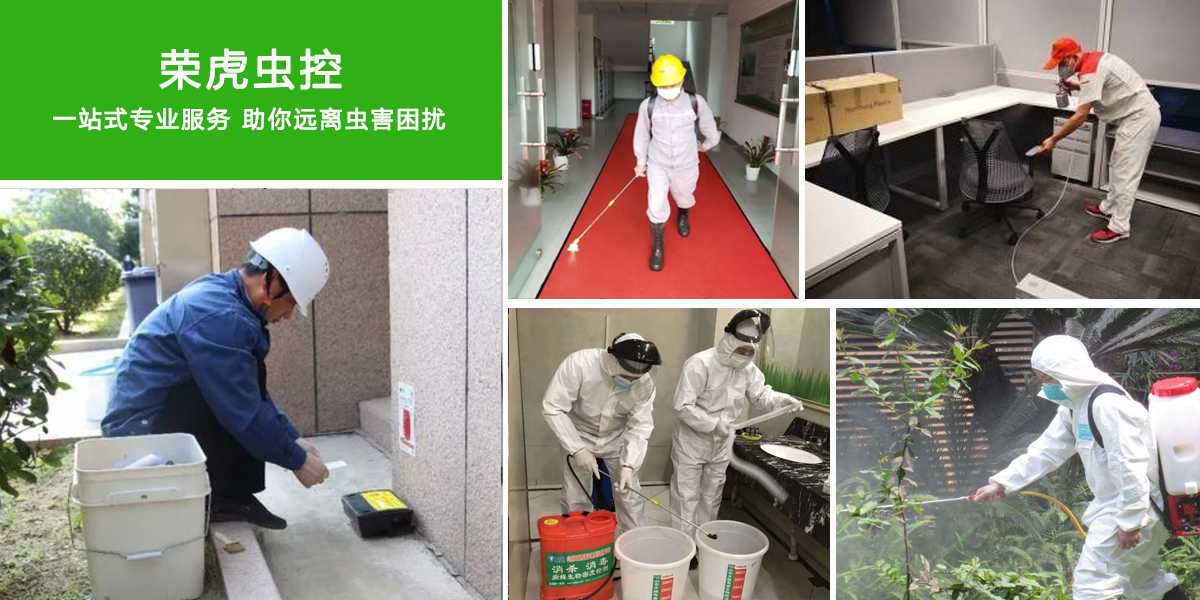 公司環保